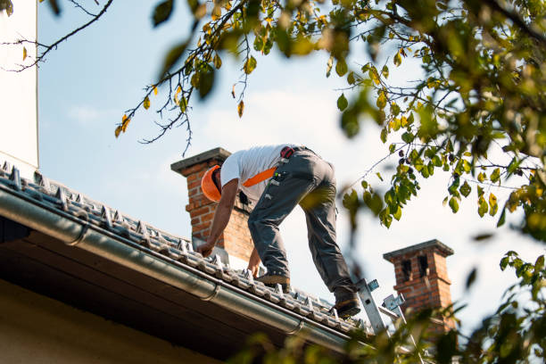 Best Green or Eco-Friendly Roofing Solutions  in Leland, NC